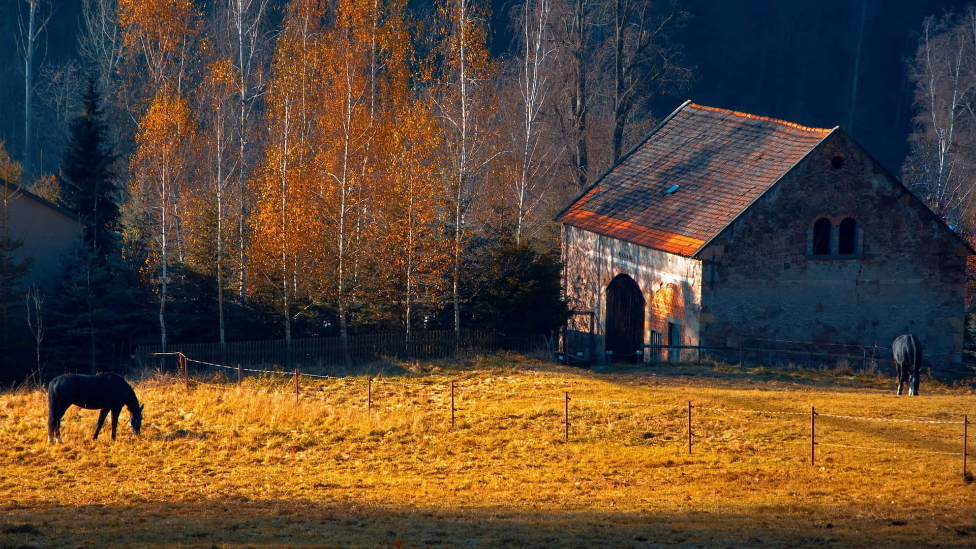 Cozy Fall Farmhouse Surrounded by Autumn Foliage Wallpaper
