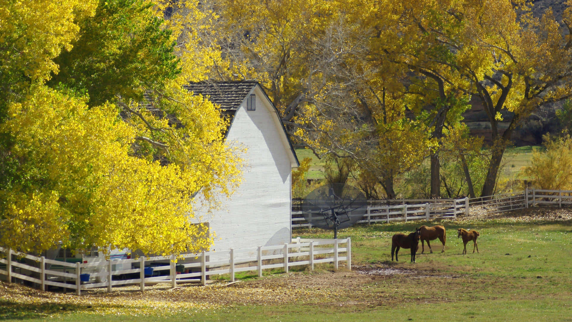Fall Farmhouse Scenic Landscape Wallpaper