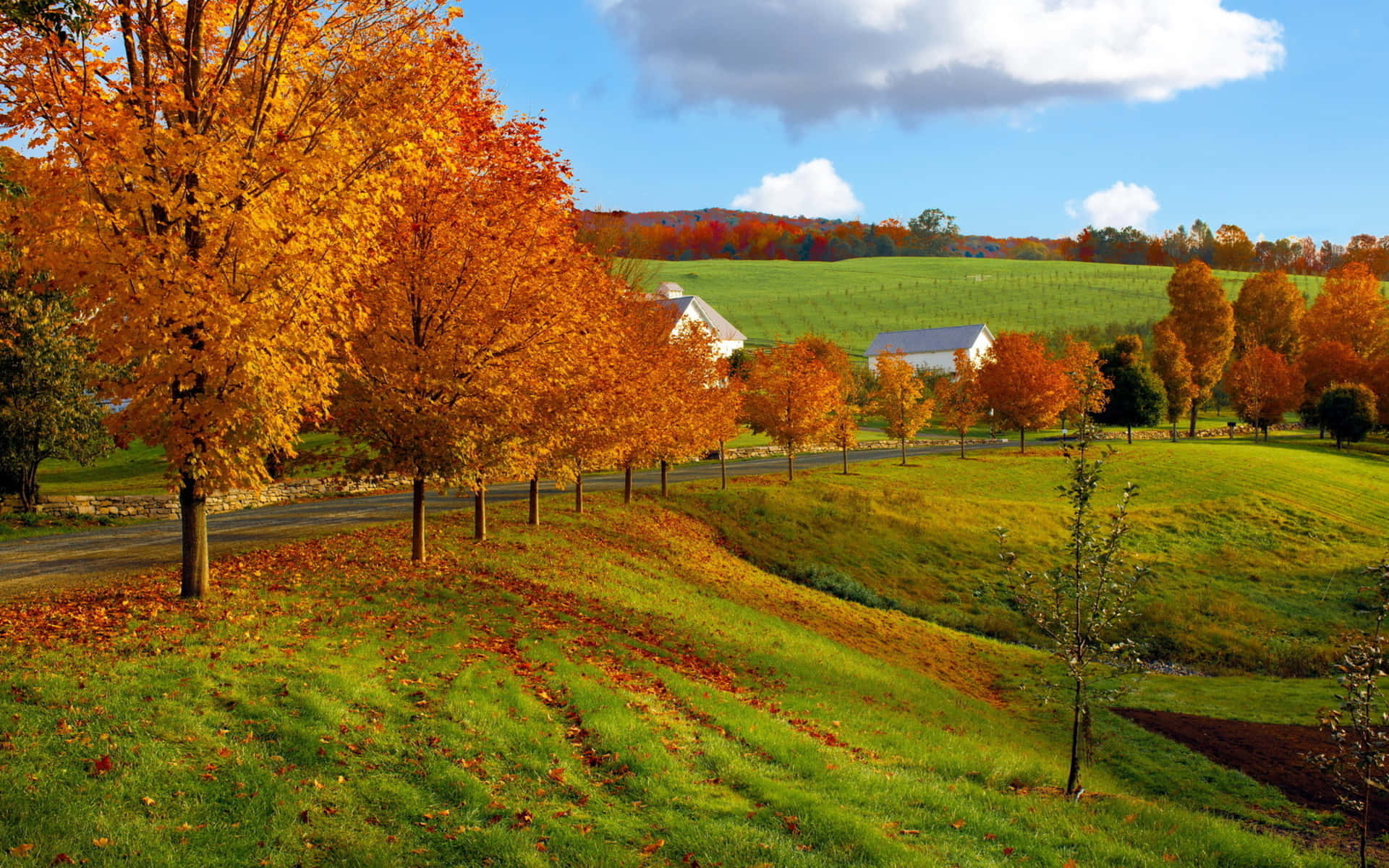 Fall Farmhouse Amidst Vibrant Autumn Foliage Wallpaper