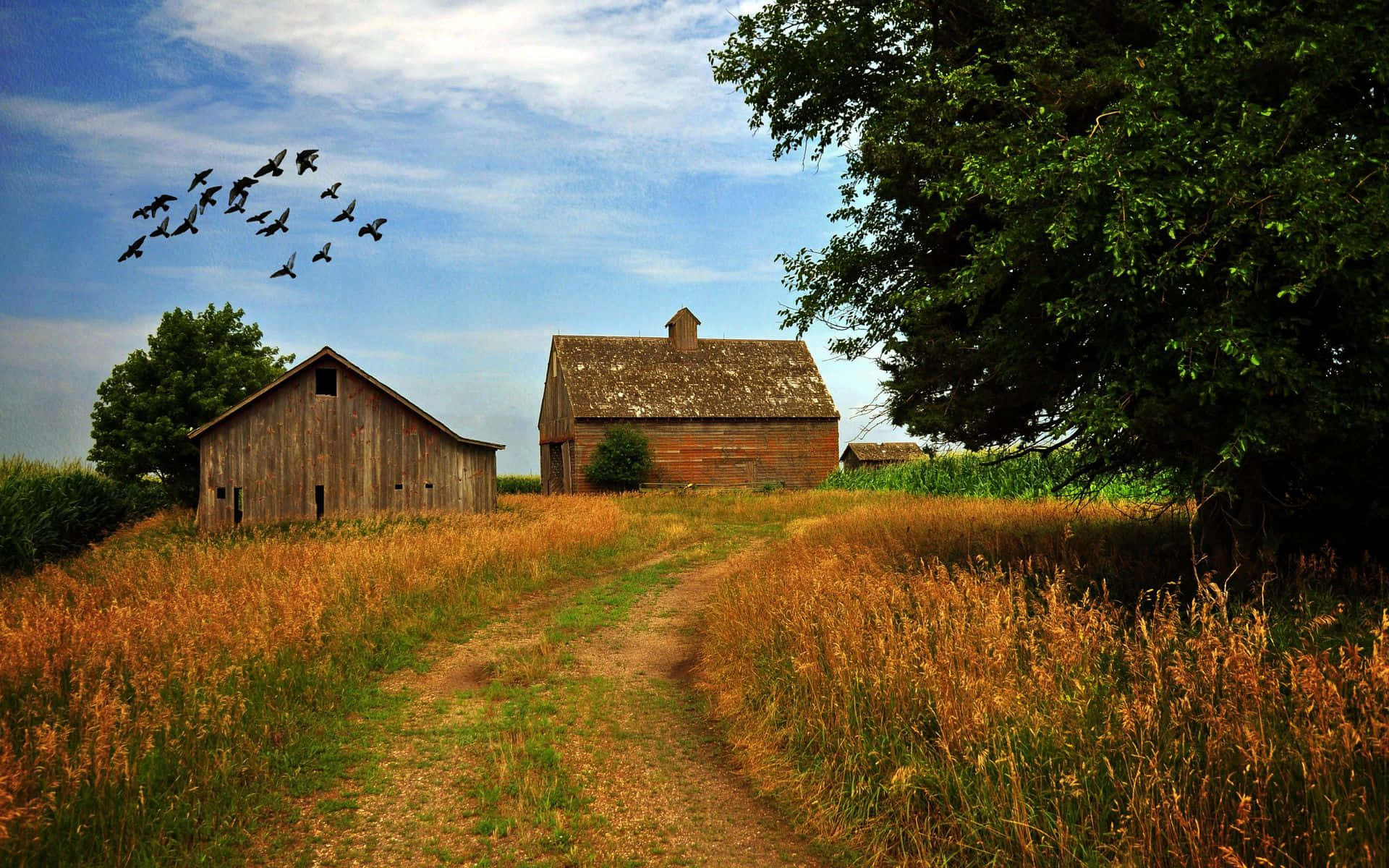 Beautiful Fall Farmhouse Scenery Wallpaper