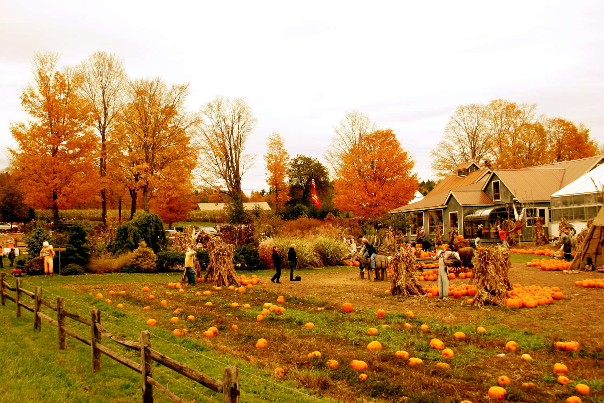 Fall Farmhouse amidst colorful foliage Wallpaper