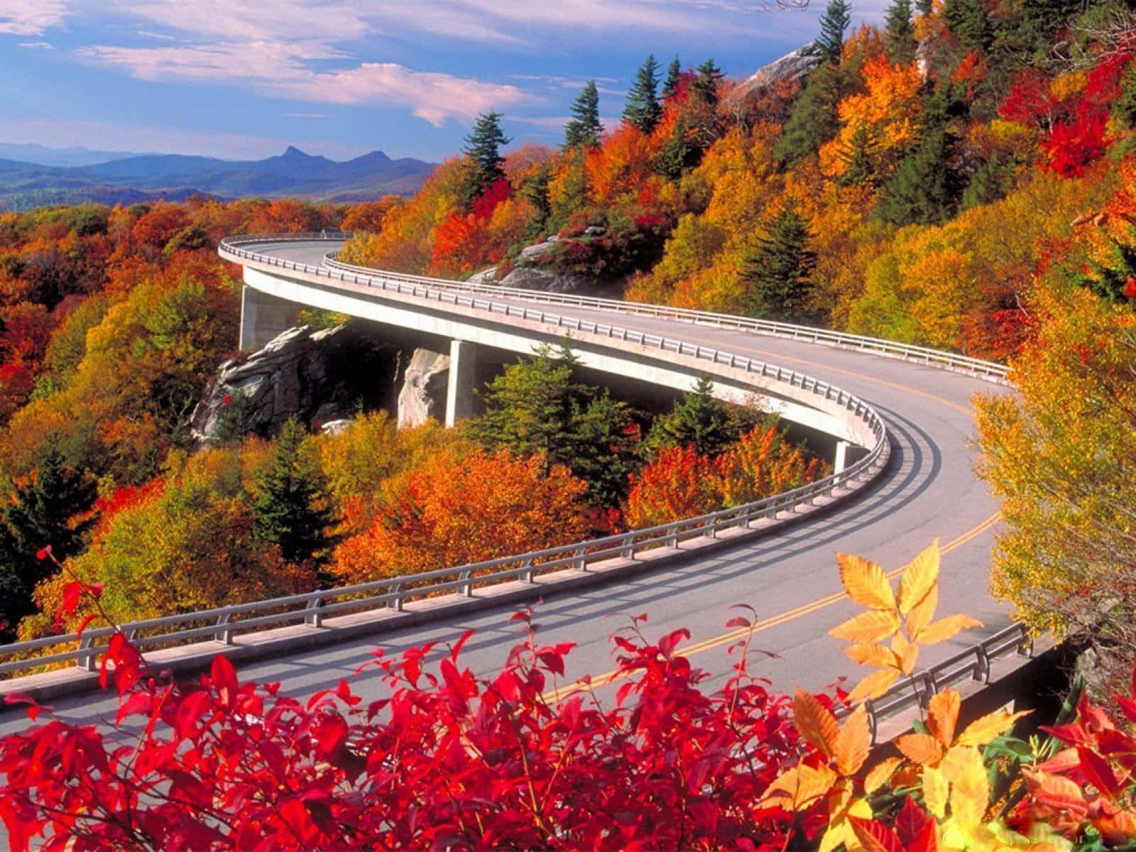 Stunning Fall Foliage Landscape Wallpaper