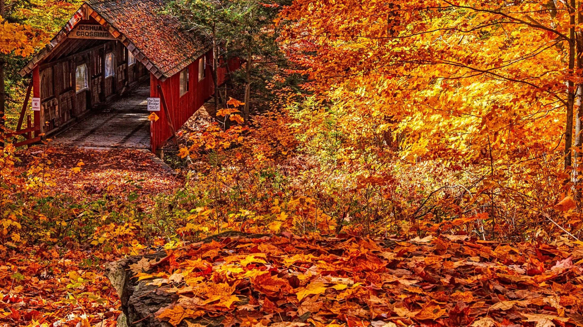 Stunning Fall Foliage Scenery - Vibrant Trees and Beautiful Lake Reflection Wallpaper