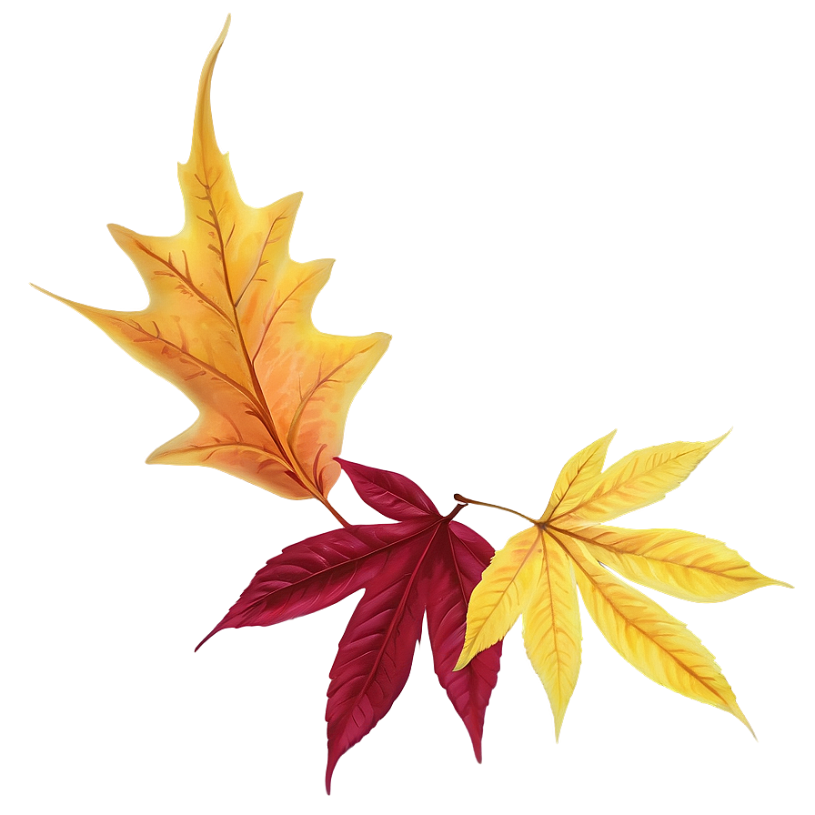 Fall Foliage Png Ulj PNG