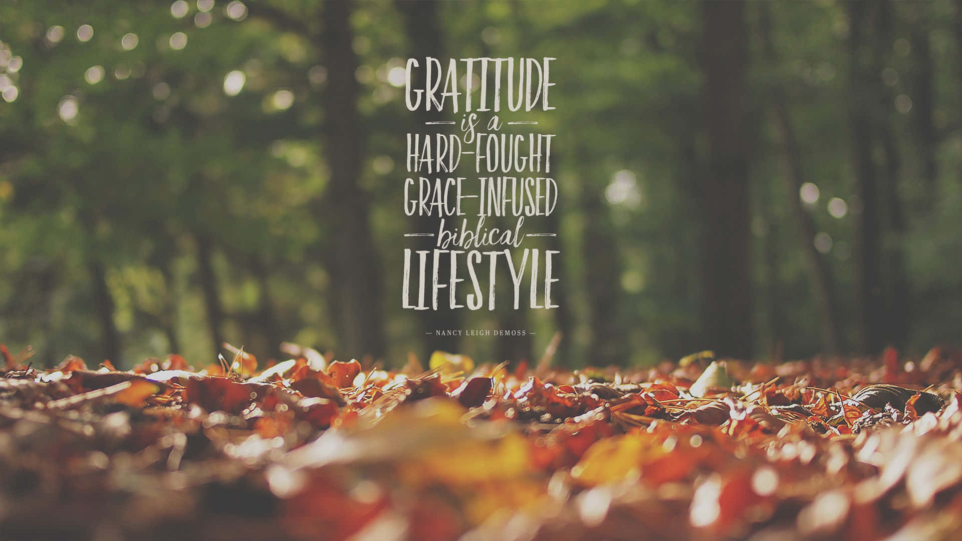 Fall Ground Gratitude Wallpaper