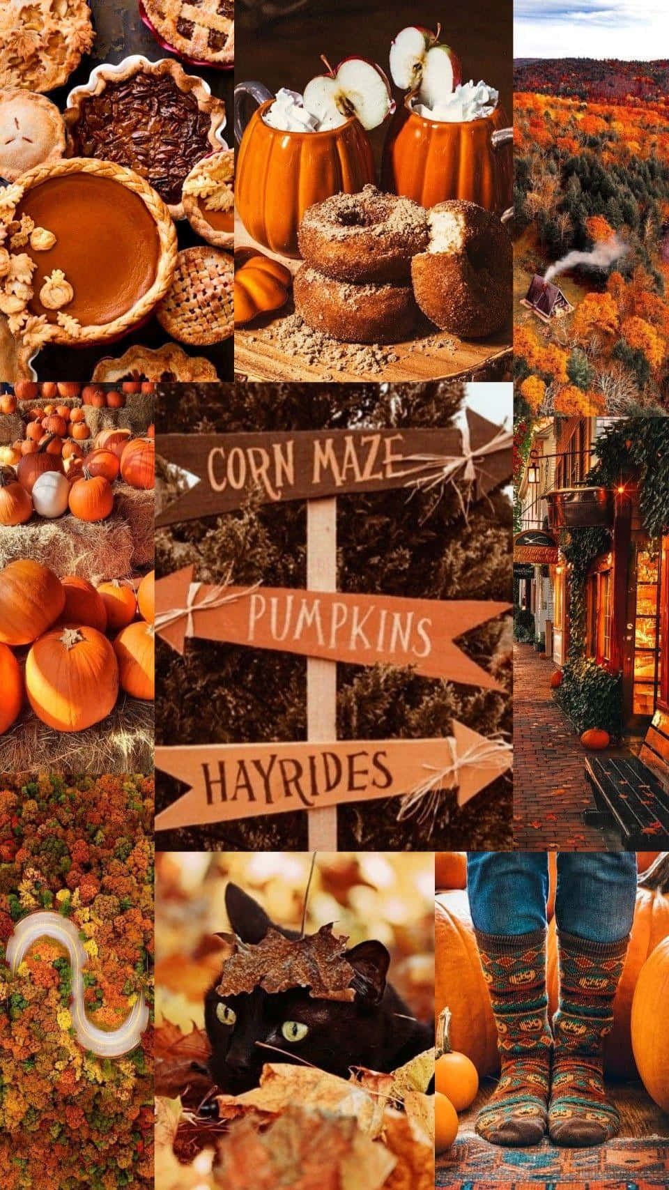 Fall Halloween Collage Aesthetic.jpg Wallpaper