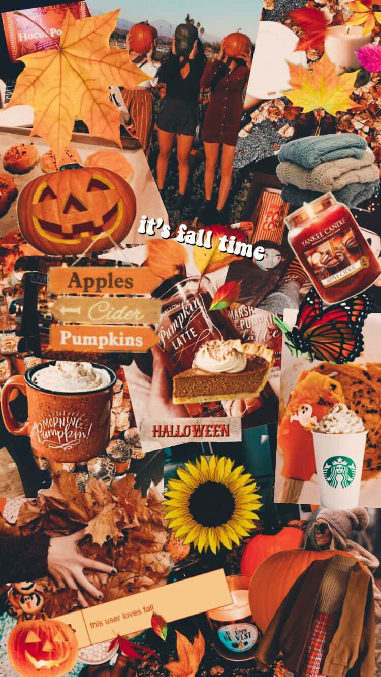 Nyd det bedste fra efteråret og Halloween med din iPhone. Wallpaper