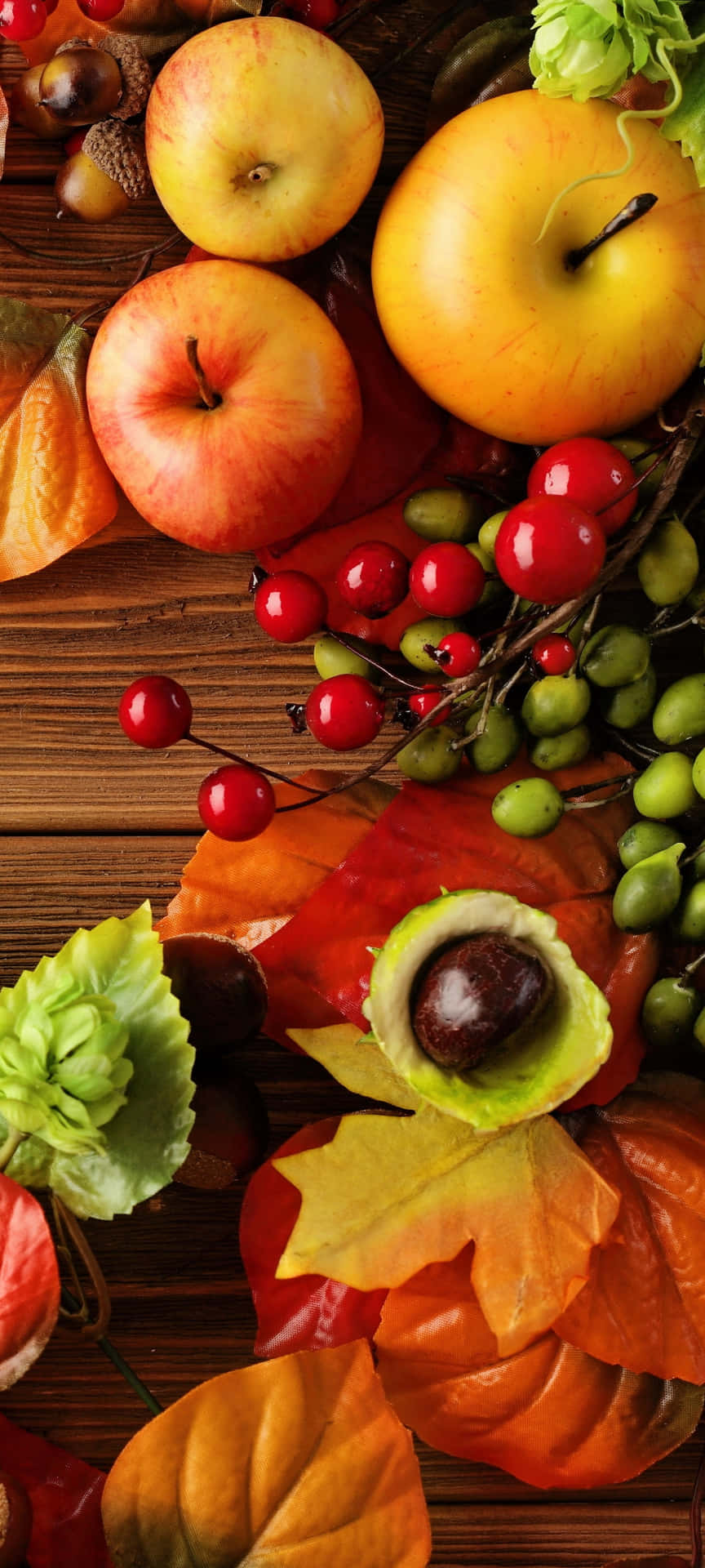 Fall Harvest - Abundance and Colors of Autumn Wallpaper