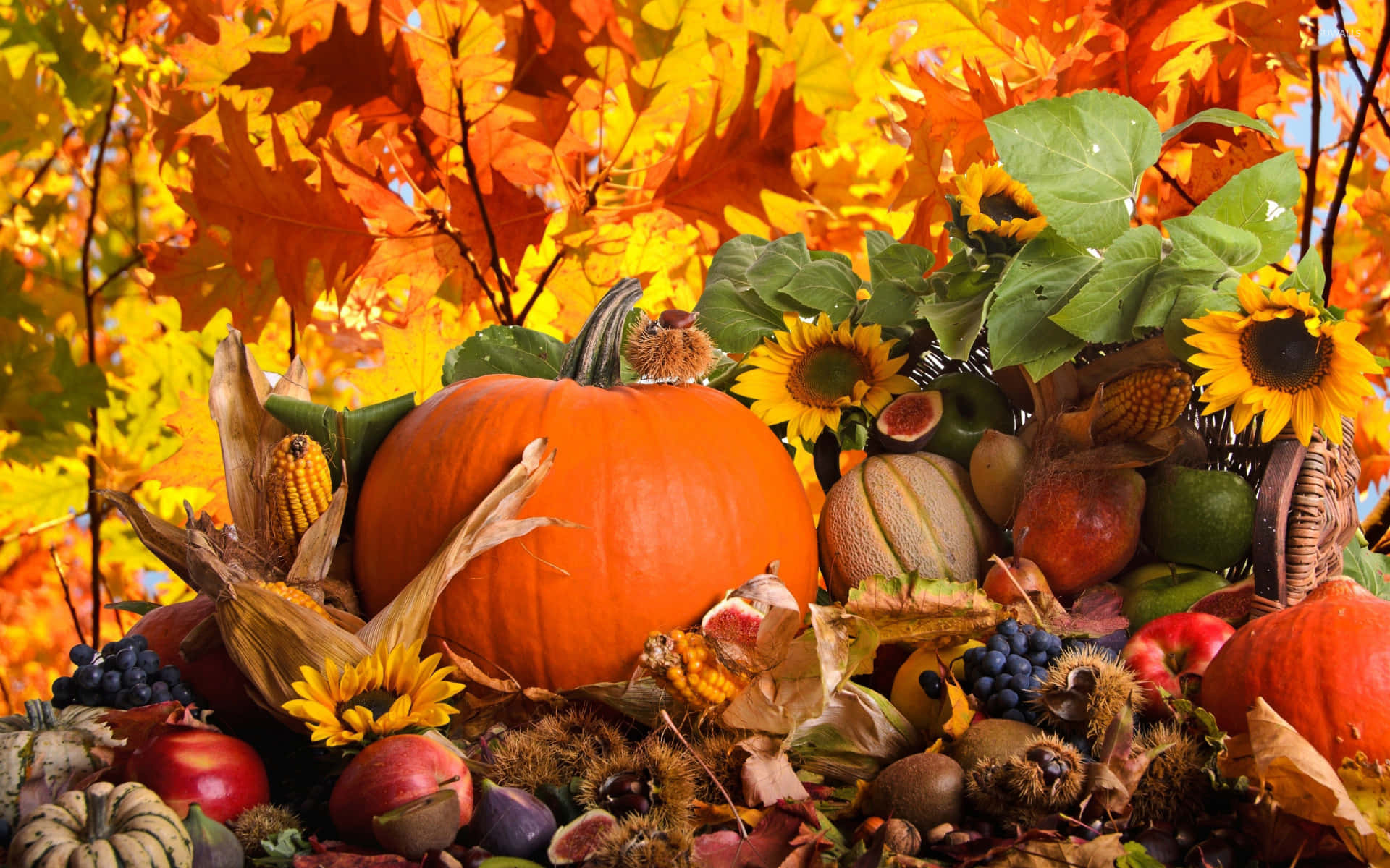 Fall Harvest Splendor Wallpaper