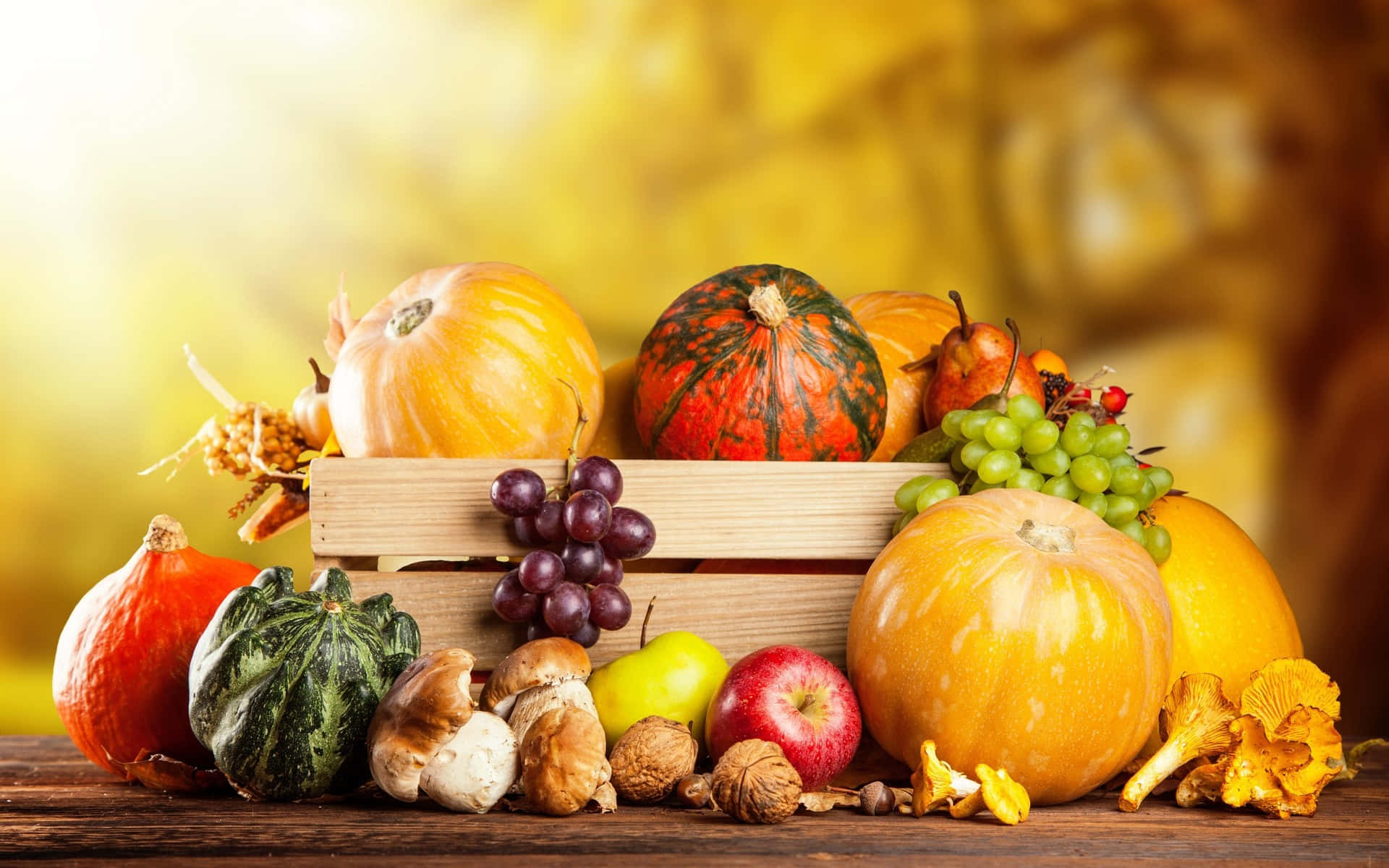 A bountiful Fall harvest display featuring colorful pumpkins and gourds Wallpaper