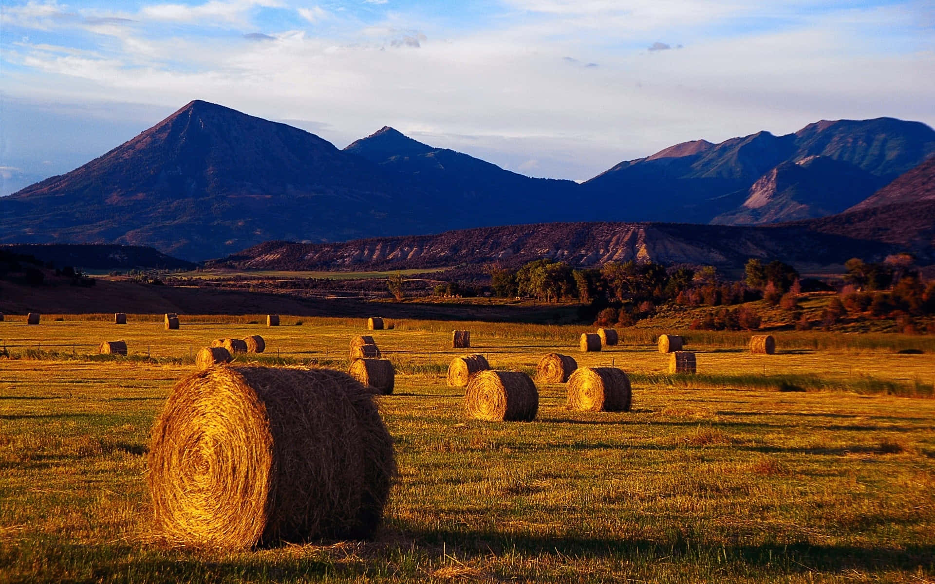 Scenische Herfst Oogst Landschap Achtergrond