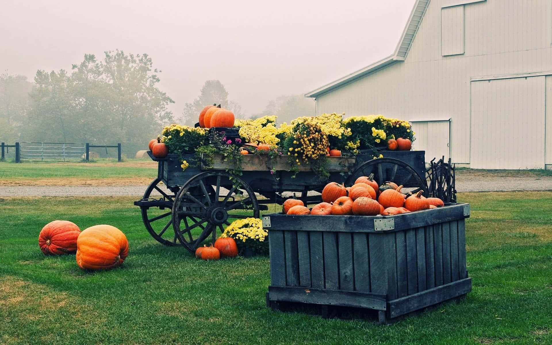 Fall Harvest - A Scenic Landscape of Autumn Fields Wallpaper