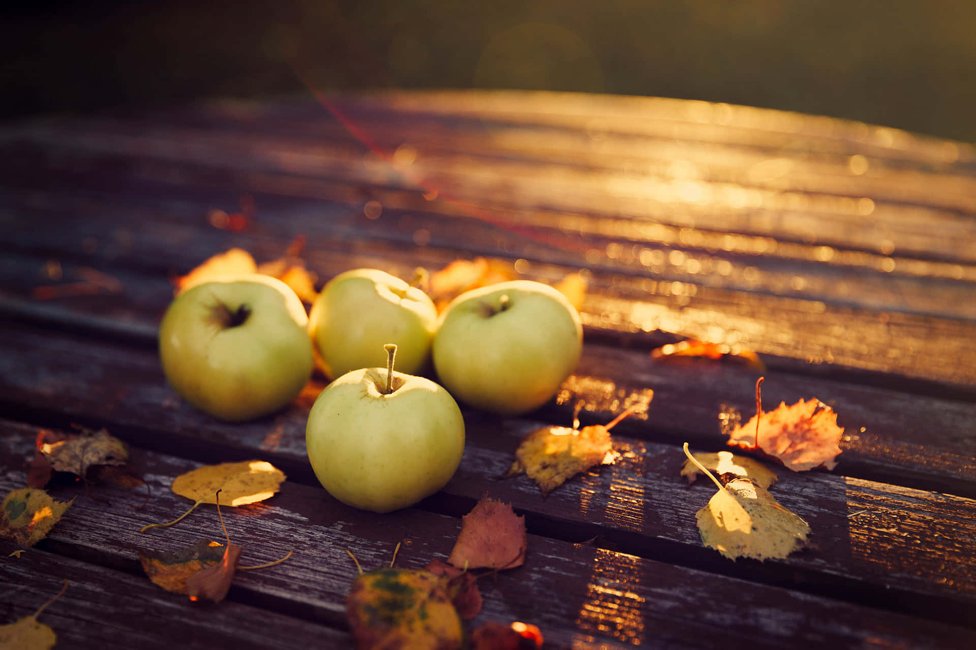 Fall Harvest - A picturesque autumn scene Wallpaper
