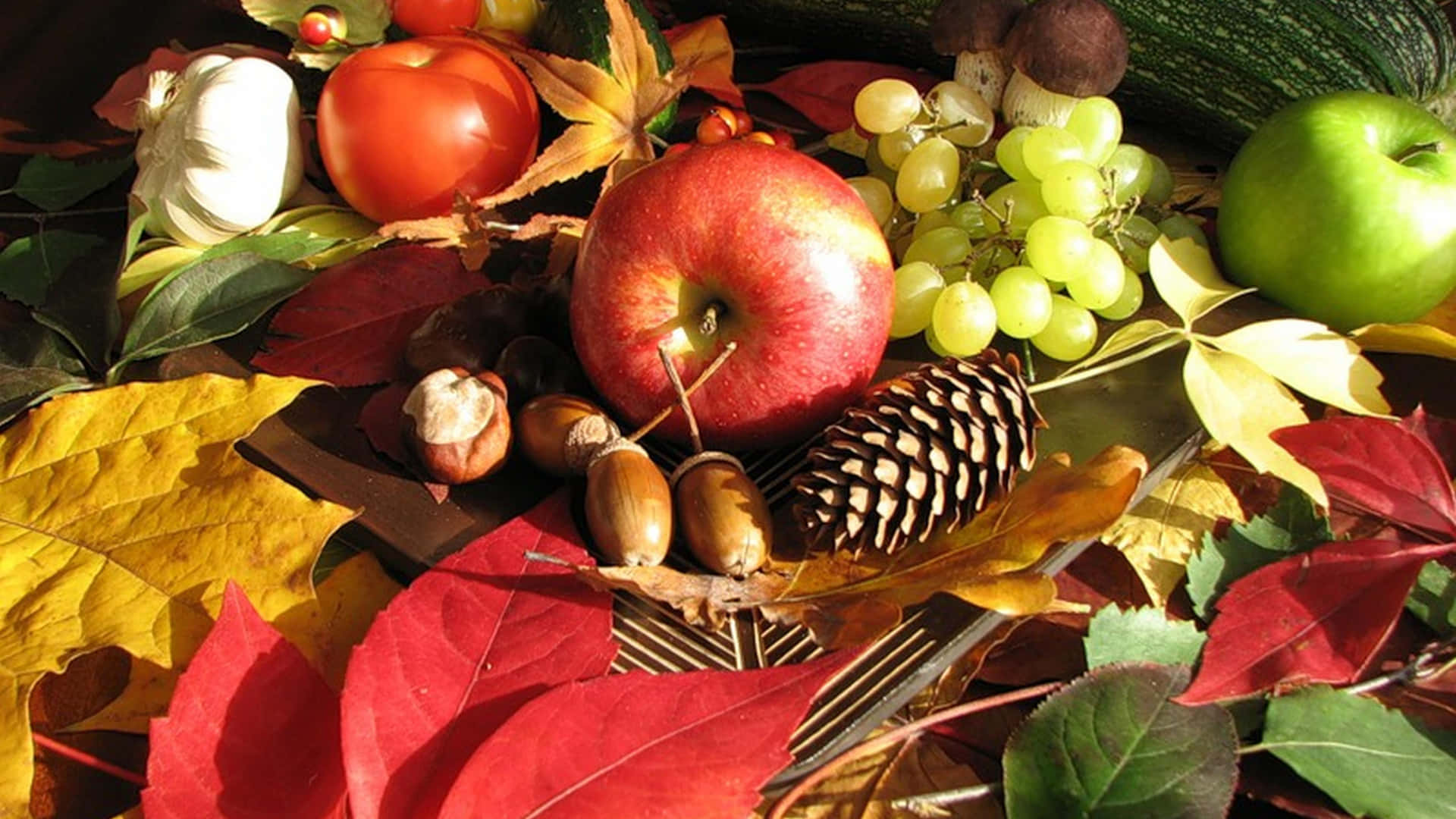 Fall Harvest - A Colorful Cornucopia of Autumn Goodness Wallpaper