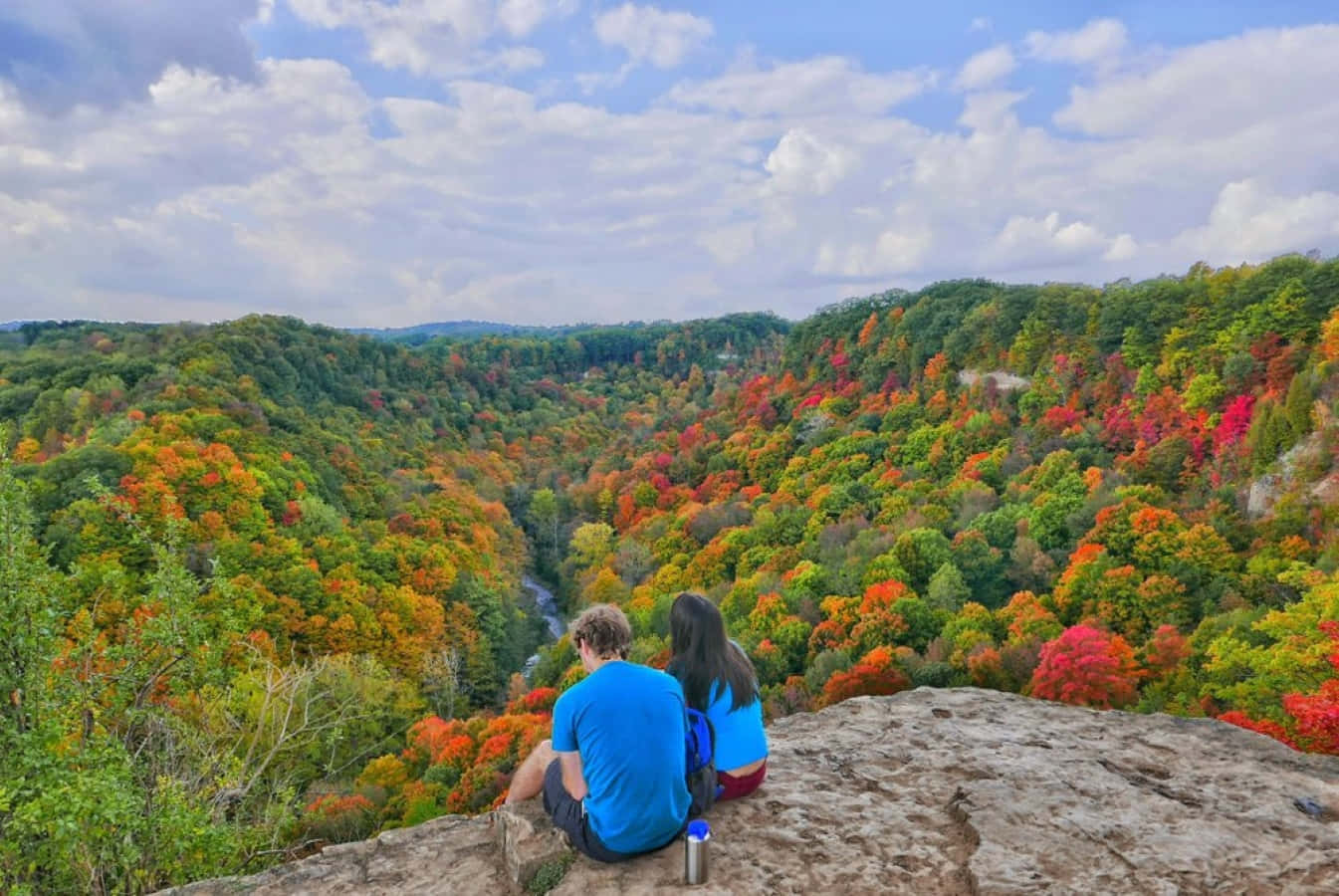 Exploring the stunning fall colors during a hike through the vibrant forest Wallpaper