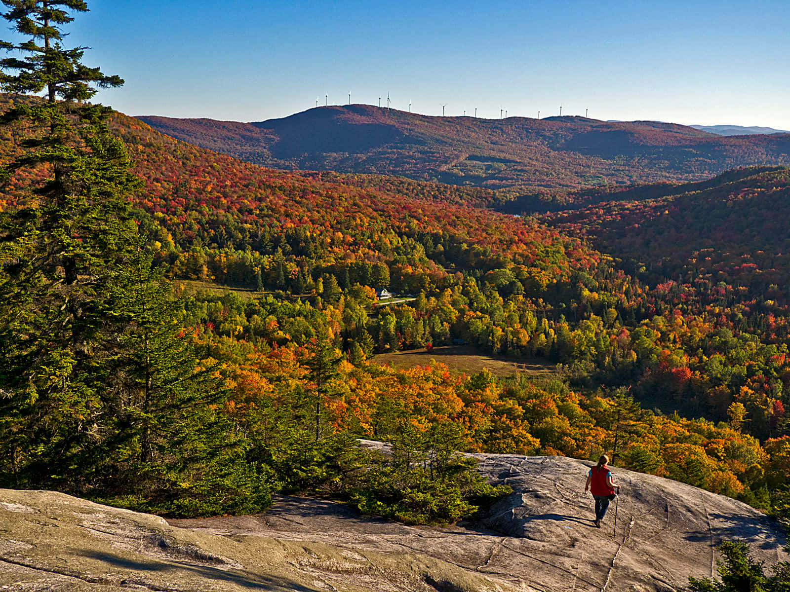 Breathtaking Fall Hike Trail through Golden Trees Wallpaper