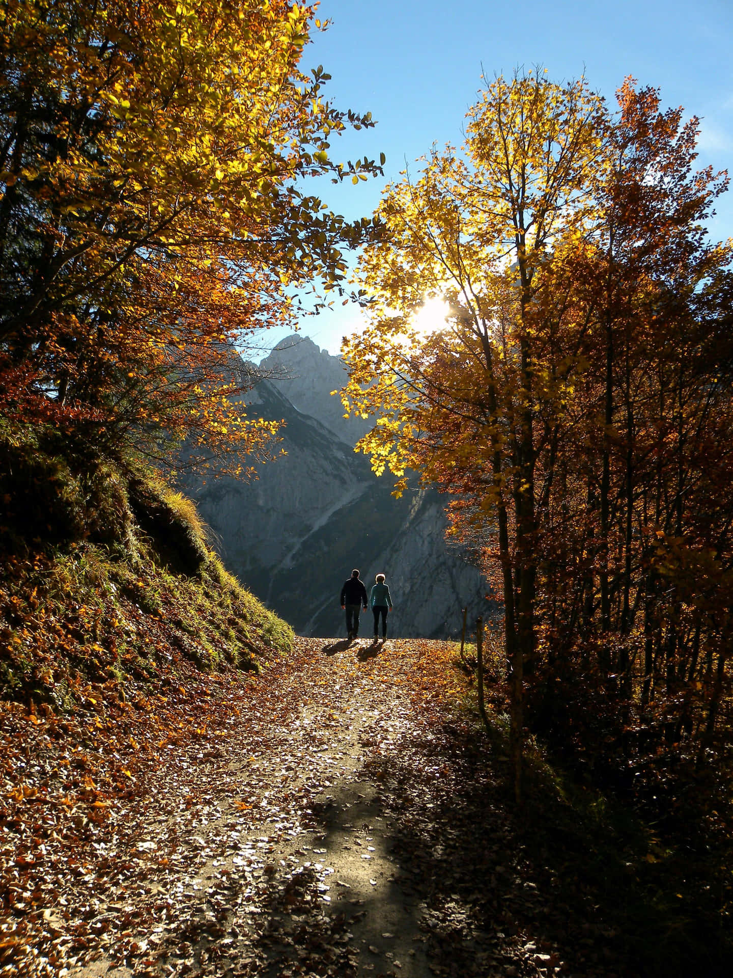 A scenic fall hike through a colorful forest trail Wallpaper