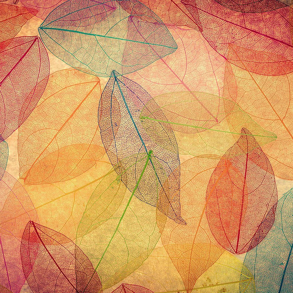 Fall Ipad Leaves Painting Background