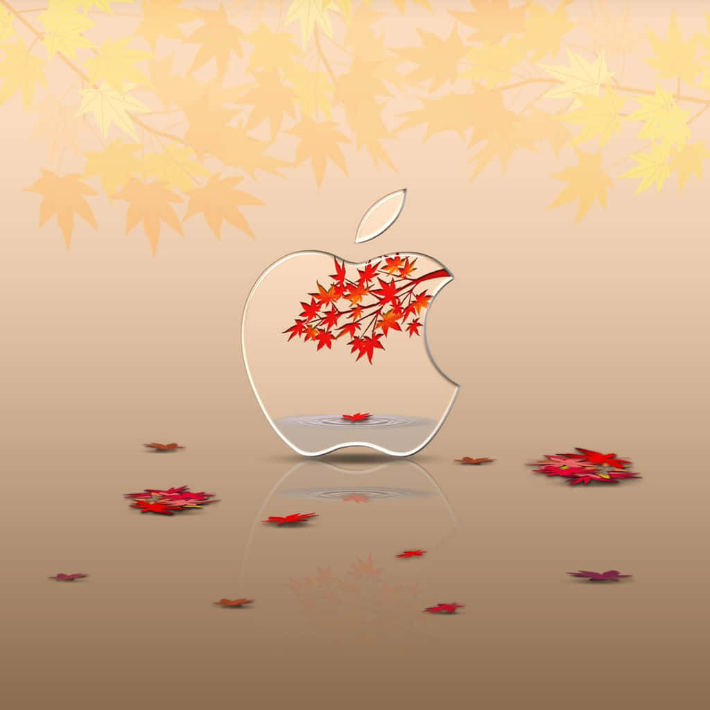 Fall Ipad Leaves Apple Logo Picture