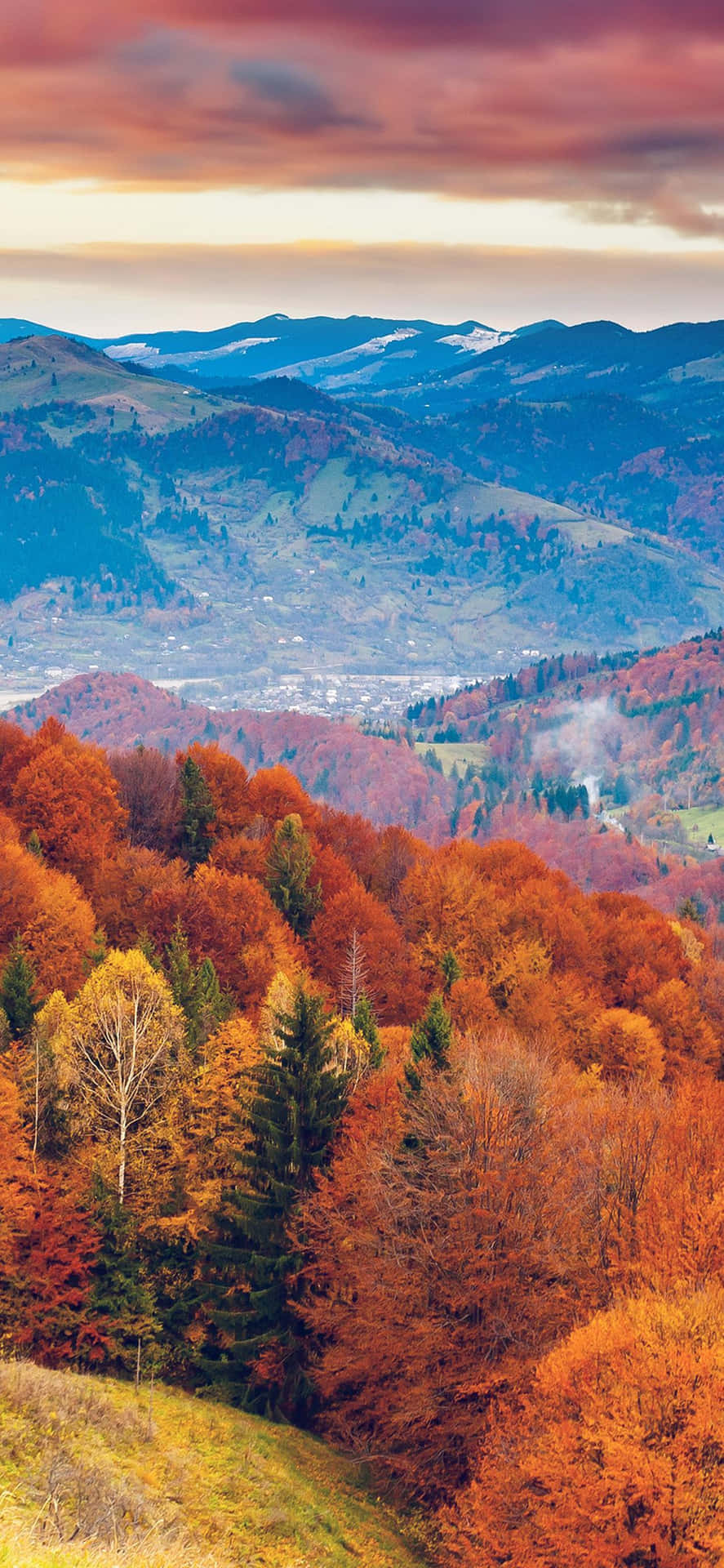Envacker Bild Av Färgglada Löv Som Faller På Hösten