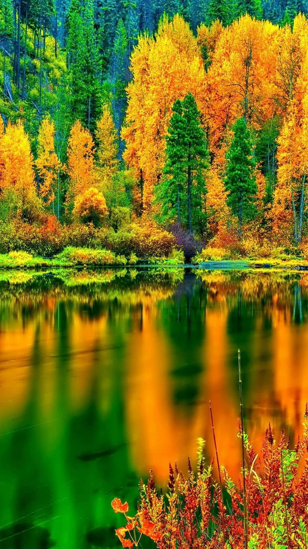 Serene Autumn Lake Scenery Wallpaper