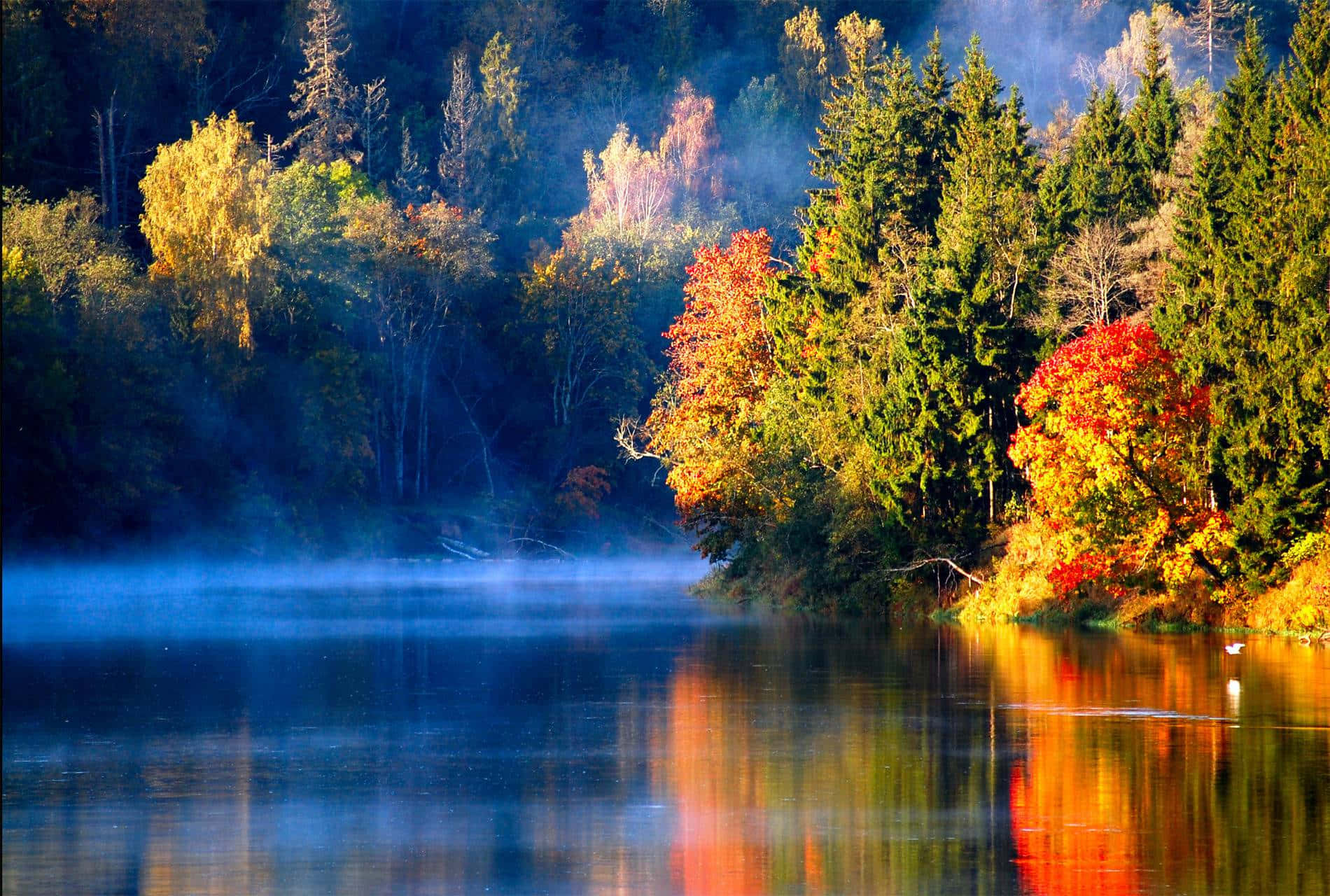 Serene Fall Lake surrounded by colorful foliage Wallpaper