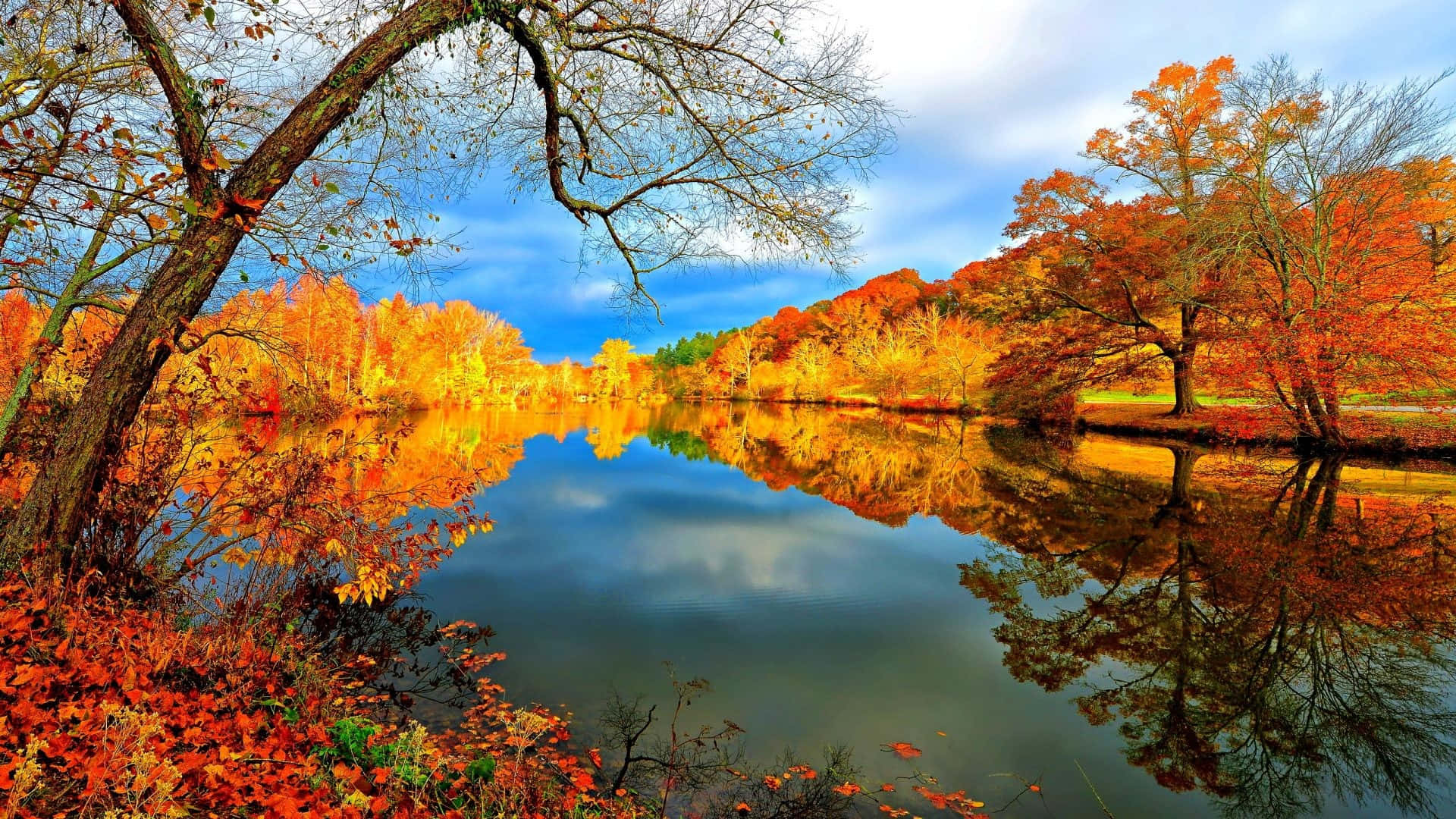 Download Serene Fall Lake Scenery Wallpaper | Wallpapers.com