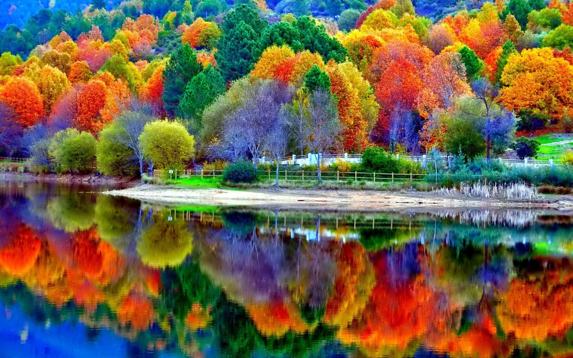 Serene Fall Lake reflecting stunning autumn colors Wallpaper
