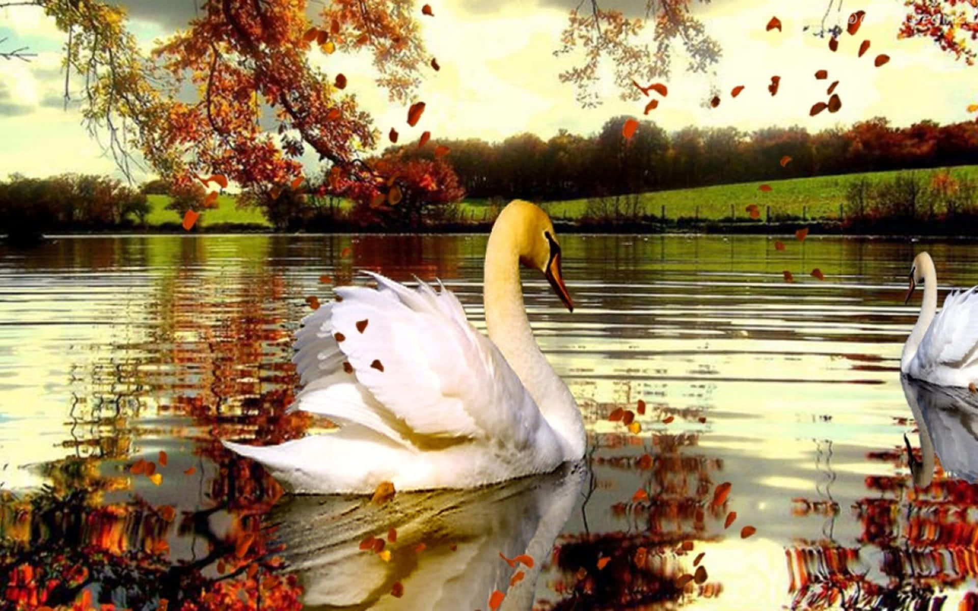 Serene Fall Lake Scenery Wallpaper