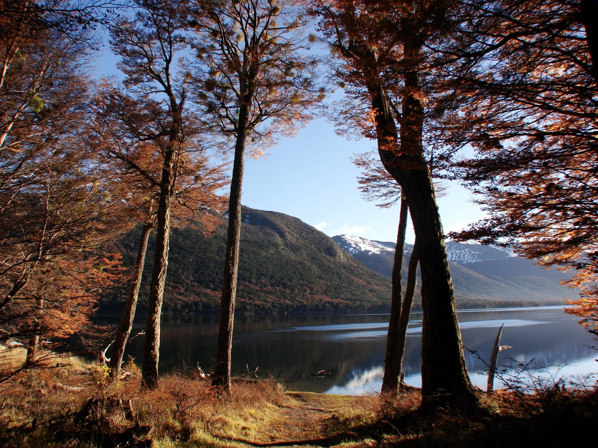Fall Lake - Serene Waters Amidst Vibrant Autumn Colors Wallpaper