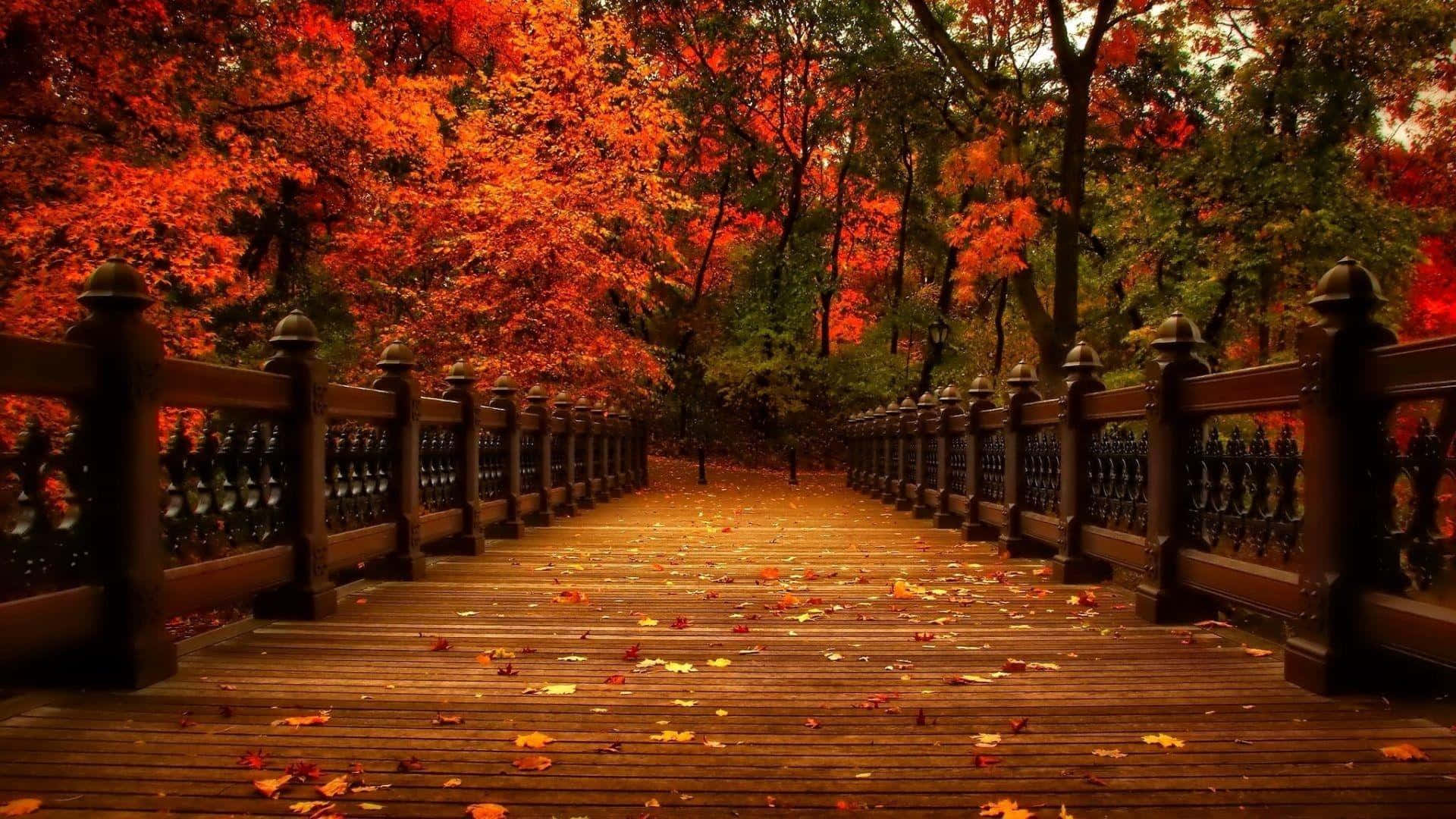 A Wooden Bridge With Red Leaves In The Background Wallpaper