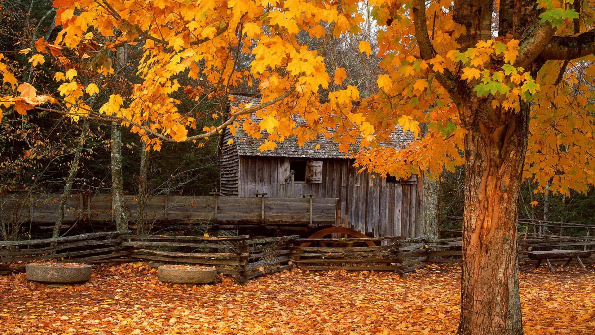 A Wooden Barn With Leaves Surrounding It Wallpaper