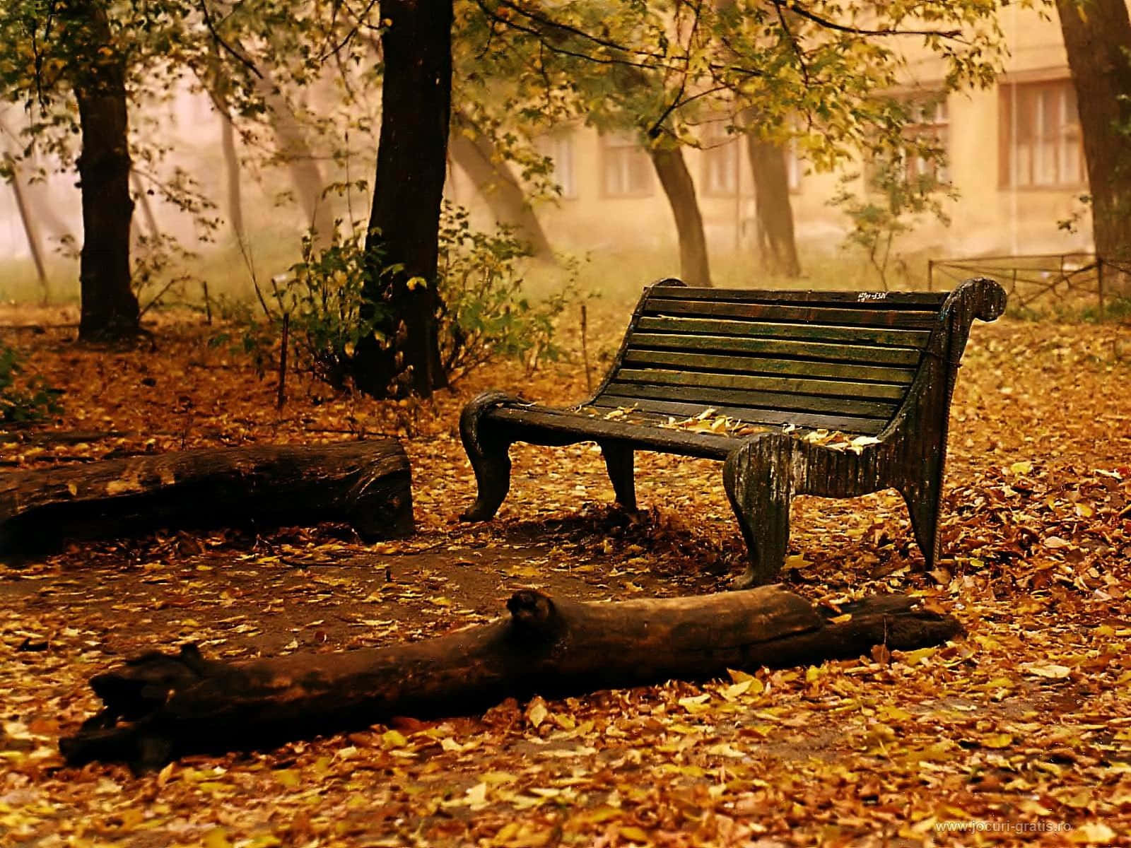 A Bench In The Woods Wallpaper