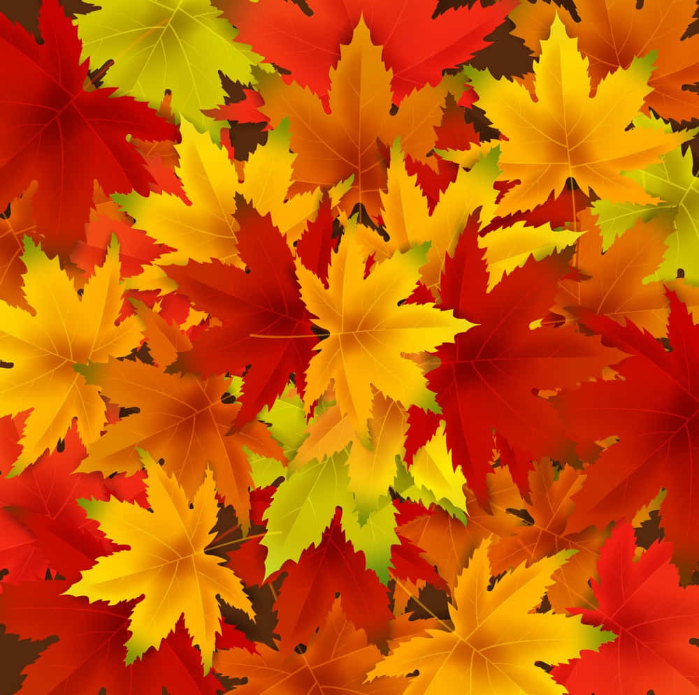 Njutav Naturens Skönhet Denna Höst Med Ljusa Och Färgglada Löv