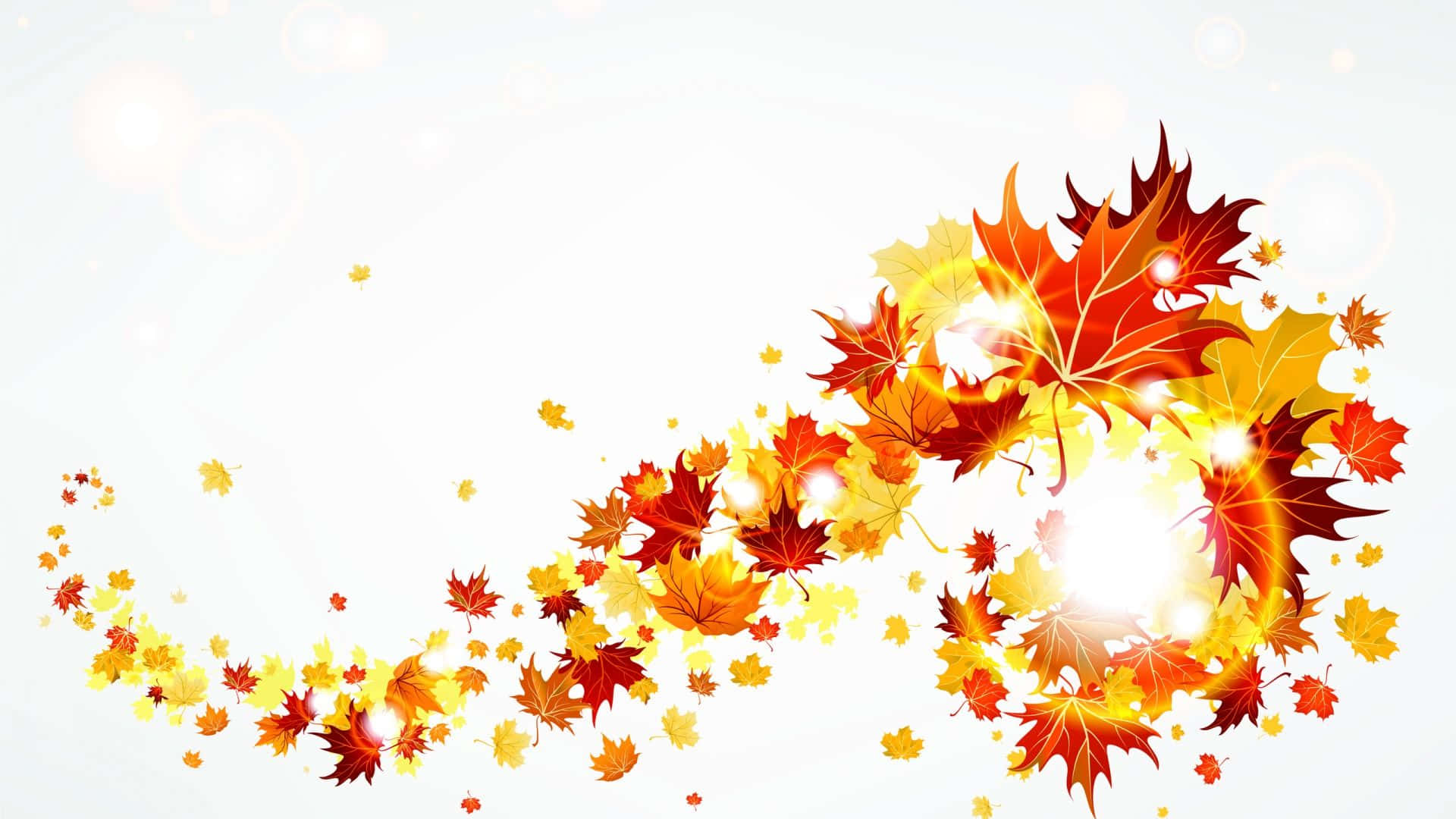 Autumn Leaves Background With A Light Shining On It