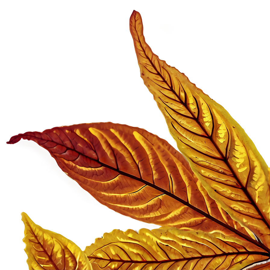 Fall Leaf Close-up Png Dsj PNG