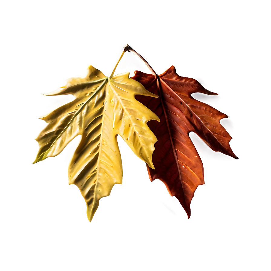 Fall Leaf Drop Png 16 PNG