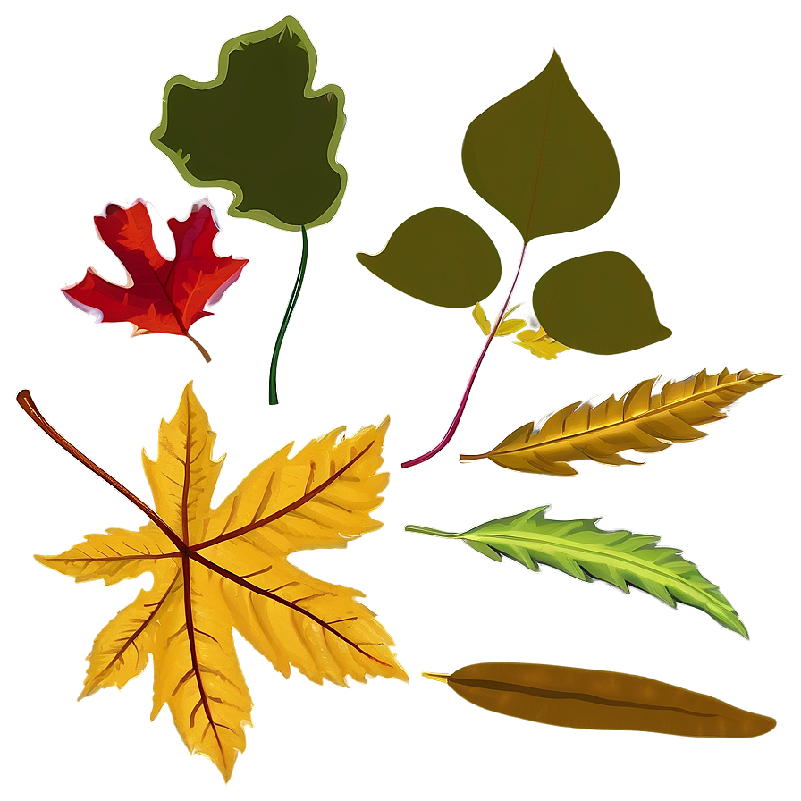 Fall Leaves B PNG