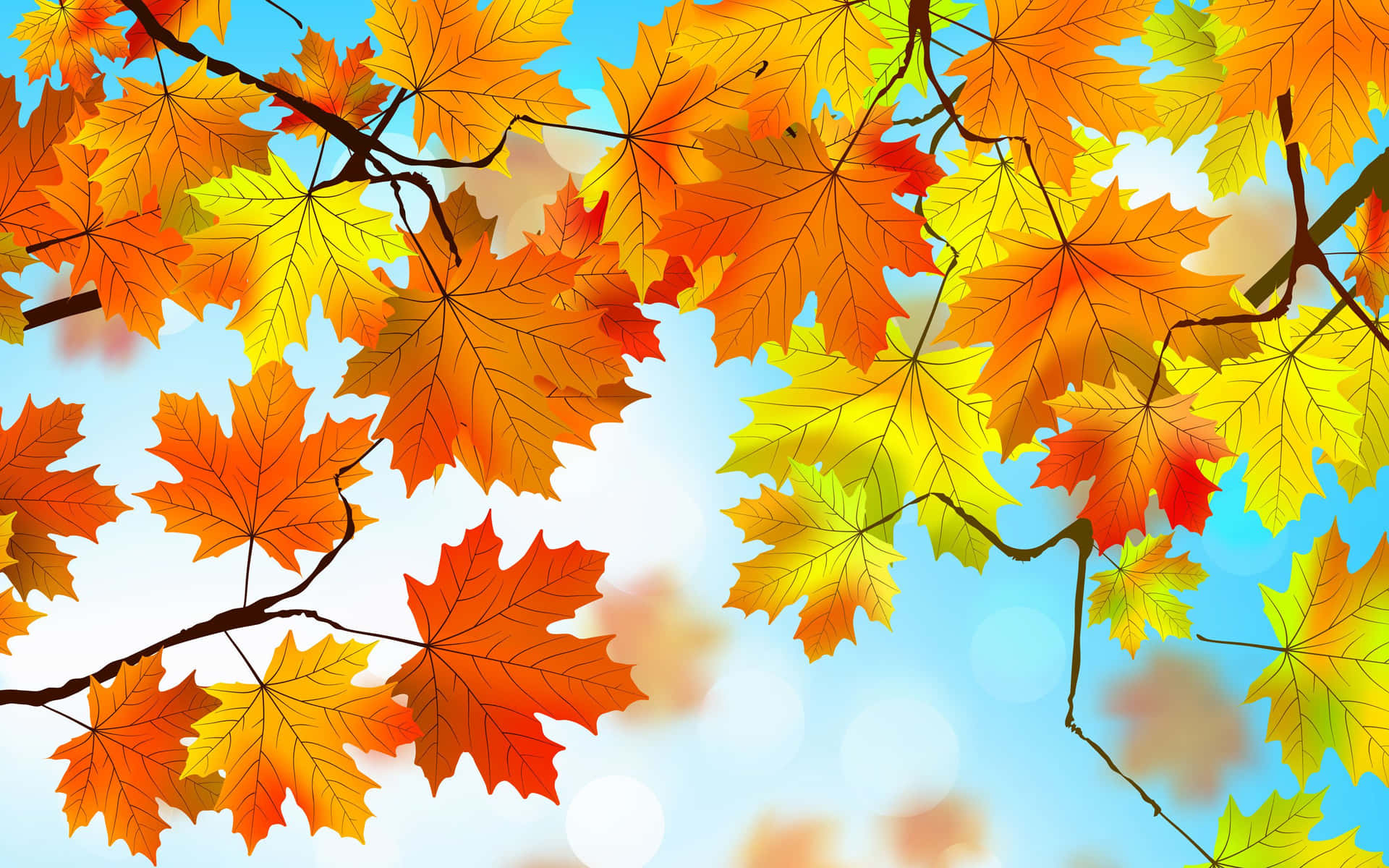 Umapitoresca Variedade De Folhas De Outono Coloridas Vivamente