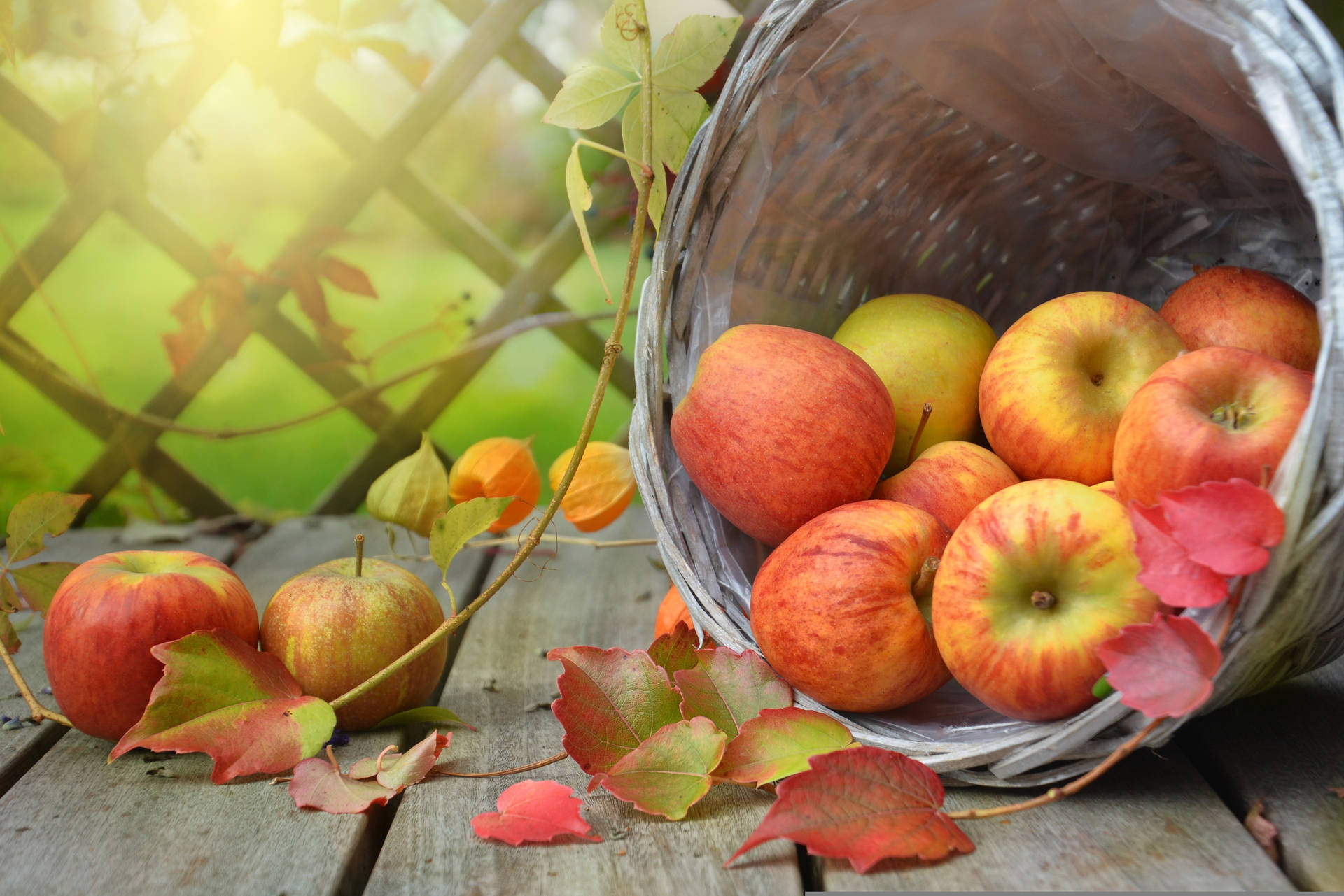 Fall Leaves Basket Of Apples Wallpaper
