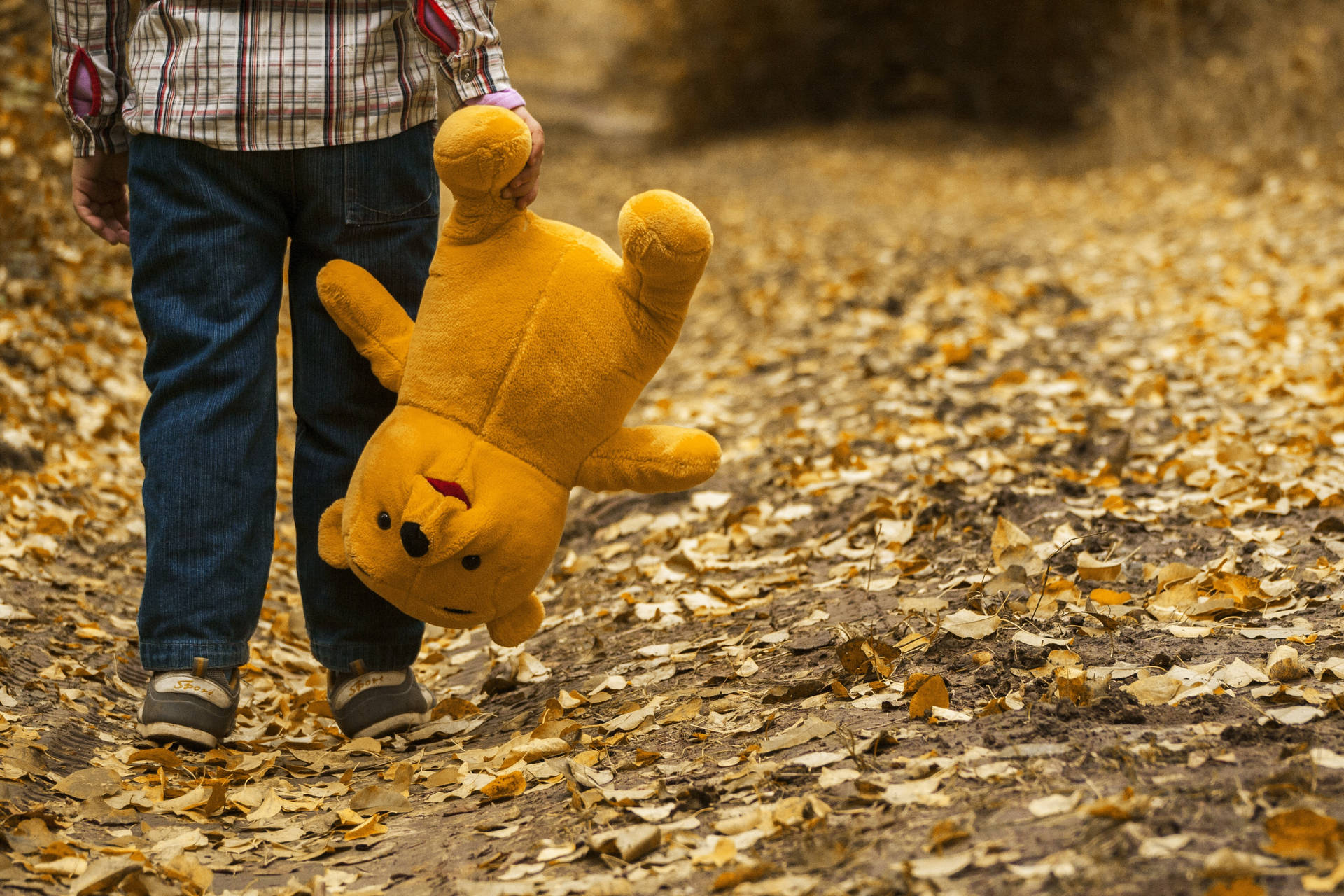 Fall Leaves Boy With Teddy Wallpaper