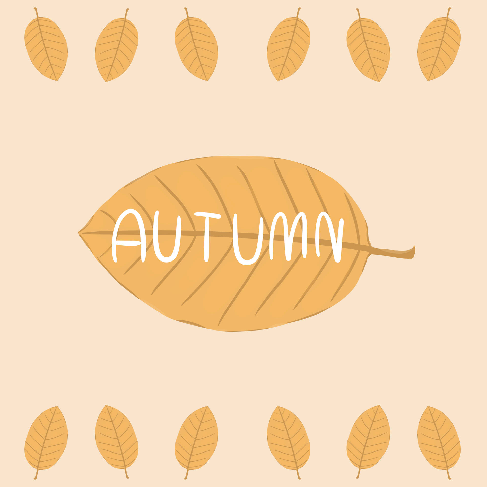 Herbstlaubillustration Wallpaper