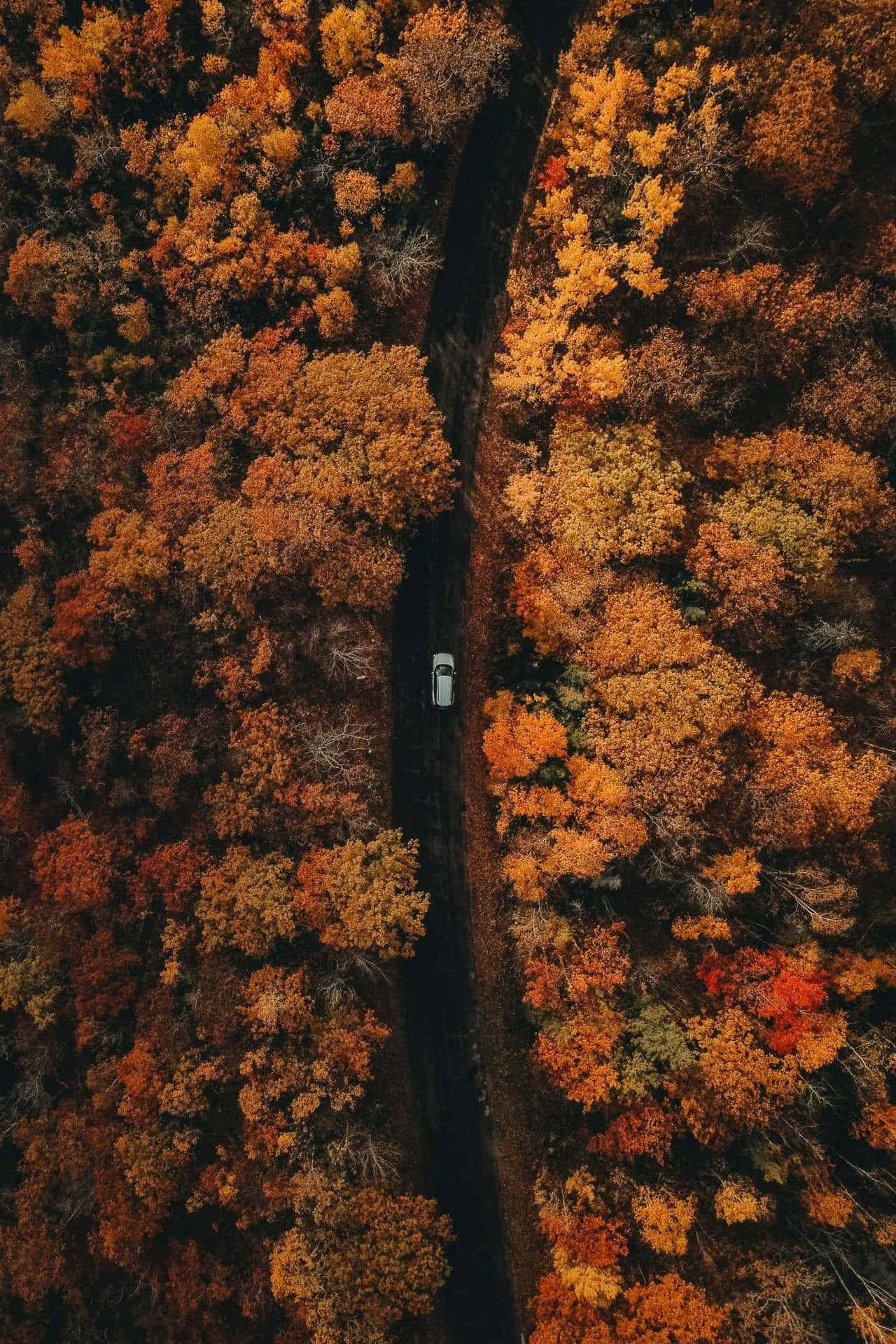 Car Driving Through Fall Leaves Iphone Wallpaper