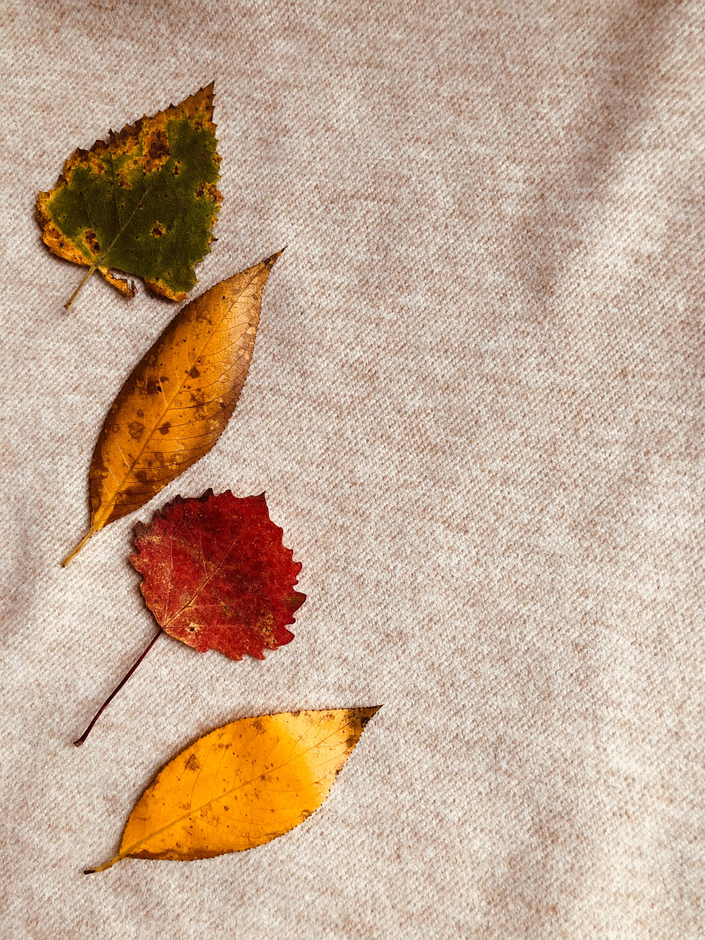 Fall Leaves Shapes On Beige Textile Wallpaper