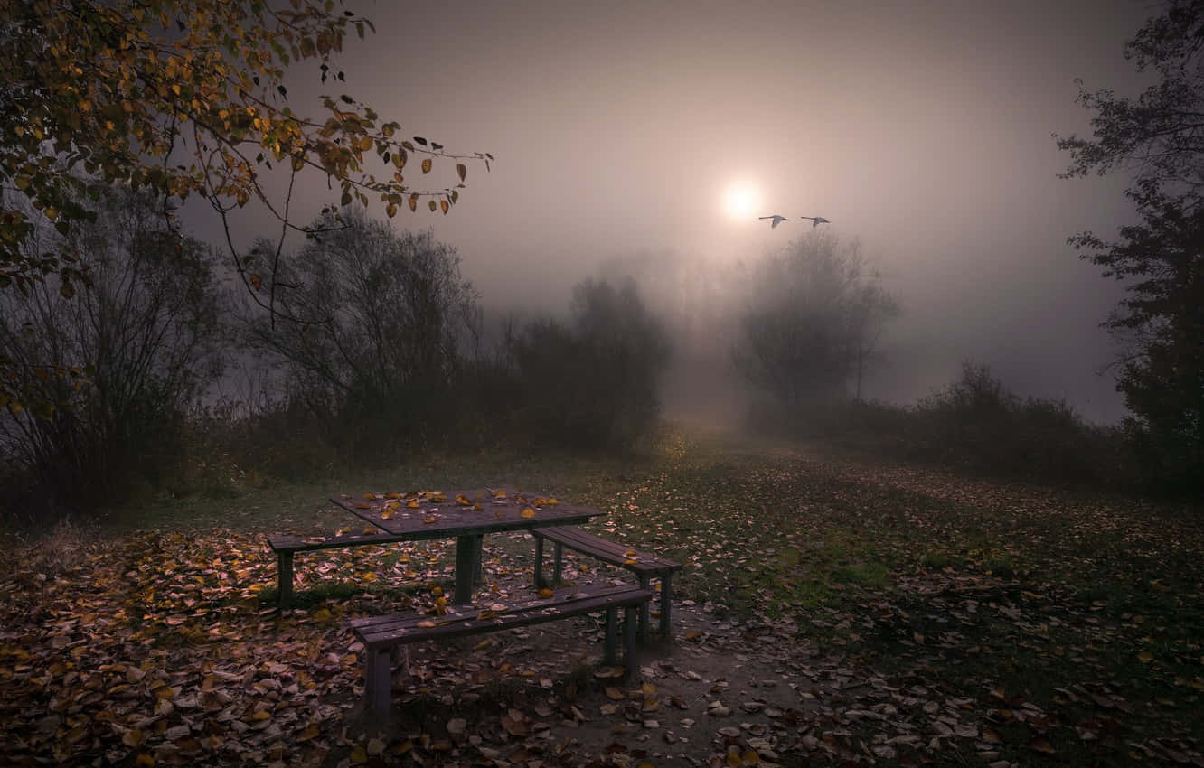 A serene fall landscape shrouded in mist Wallpaper