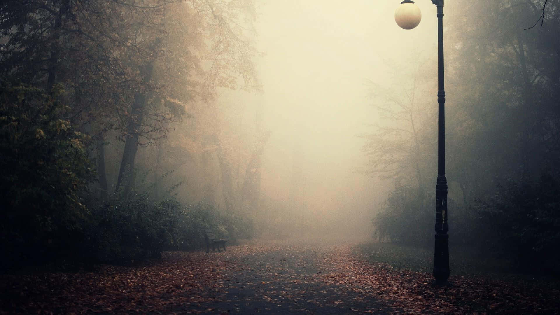 Encantadorfondo De Pantalla De Paisaje De Niebla Otoñal. Fondo de pantalla