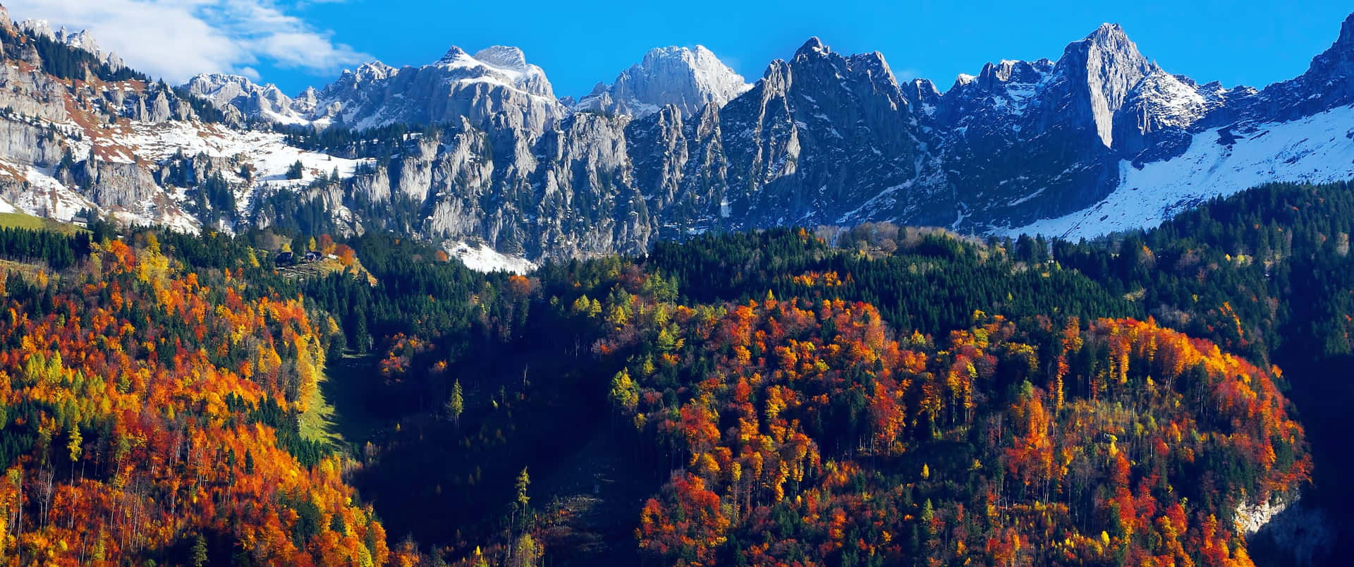 Feel the gorgeous change of season in the majestic Fall Mountain Wallpaper