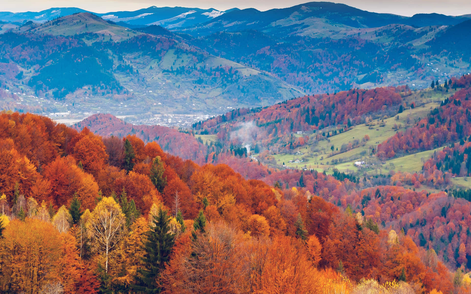Diebunten Herbstblätter Des Fall Mountain Wallpaper