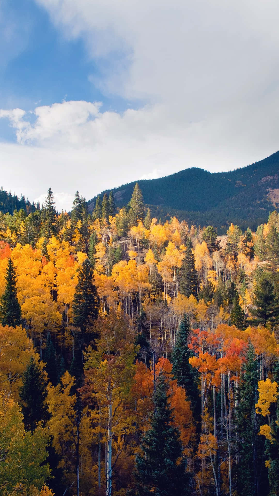 Celebrate the beauty of Fall among towering mountains Wallpaper