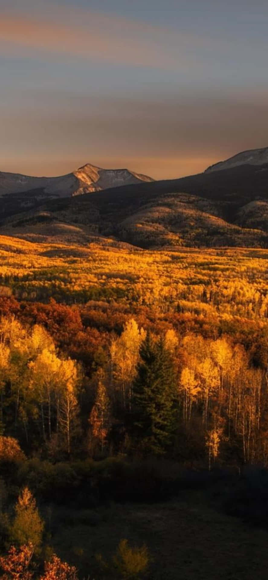Vistadeslumbrante Da Montanha No Outono. Papel de Parede